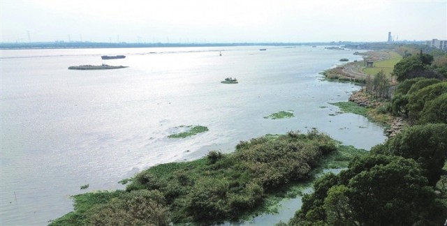 太浦河一河跨三地三地人共治一条河共画生态圈(图2)