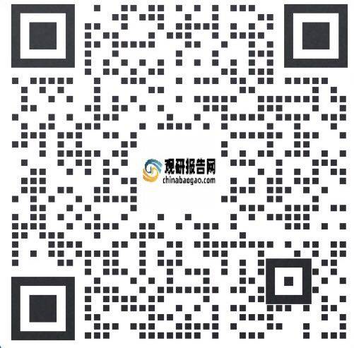 中国电子玻璃纤维行业发展深度分析与未来投资研究报告（2023-2030年）